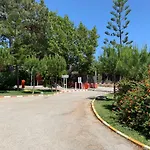 La Buganvilla