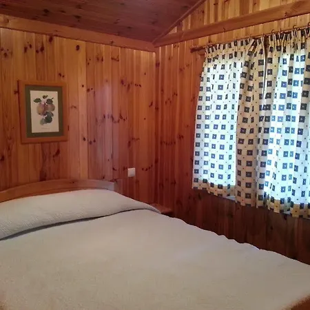La Buganvilla 2*