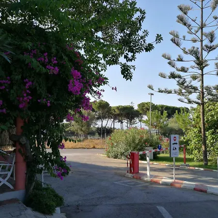 Parque de Campismo La Buganvilla Marbella