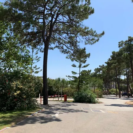 La Buganvilla Parque de Campismo