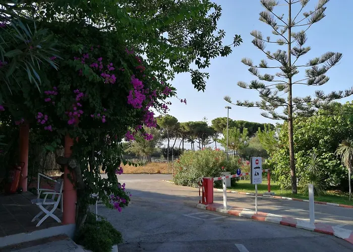 Camping La Buganvilla Marbella