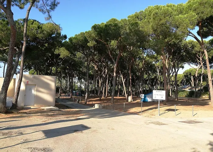 Campeggio La Buganvilla