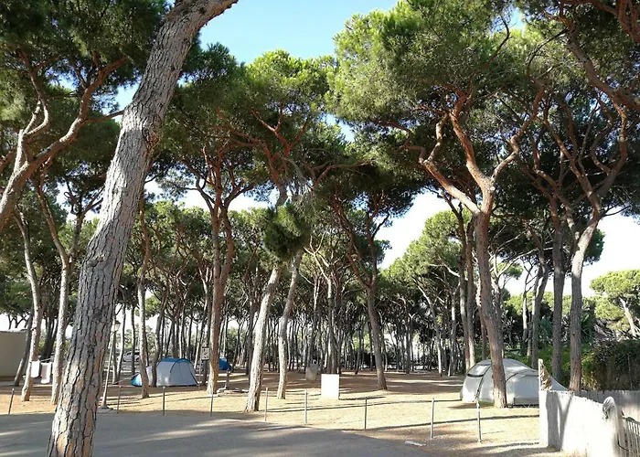 Camping La Buganvilla Marbella