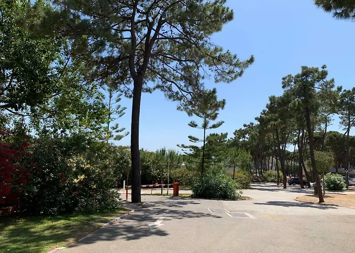 La Buganvilla Camping