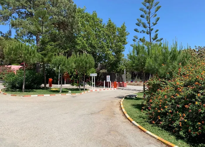 La Buganvilla