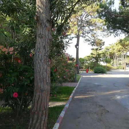 La Buganvilla Marbella