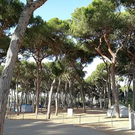 Camping La Buganvilla Marbella