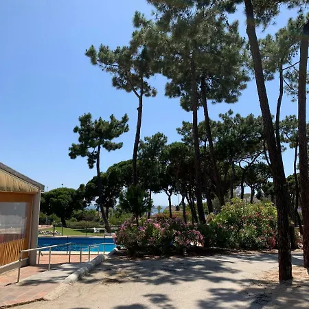 La Buganvilla